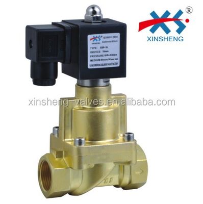 XSP Grade 2 Way High Pressure Piston Steam Solenoid ValveAC 220V/110V