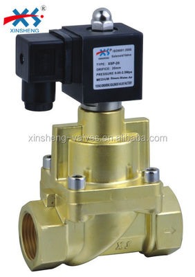 XSP Grade 2 Way High Pressure Piston Steam Solenoid ValveAC 220V/110V