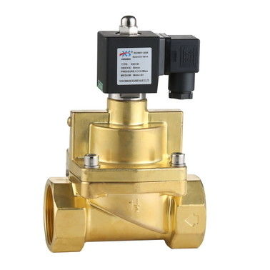 XSP Grade 2 Way High Pressure Piston Steam Solenoid ValveAC 220V/110V